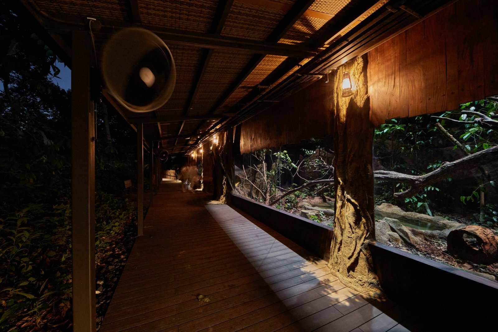 Singapore Night Safari’s Pangolin Trail Set Aglow with Moonlight-Inspired Lighting from Martin Lighting
