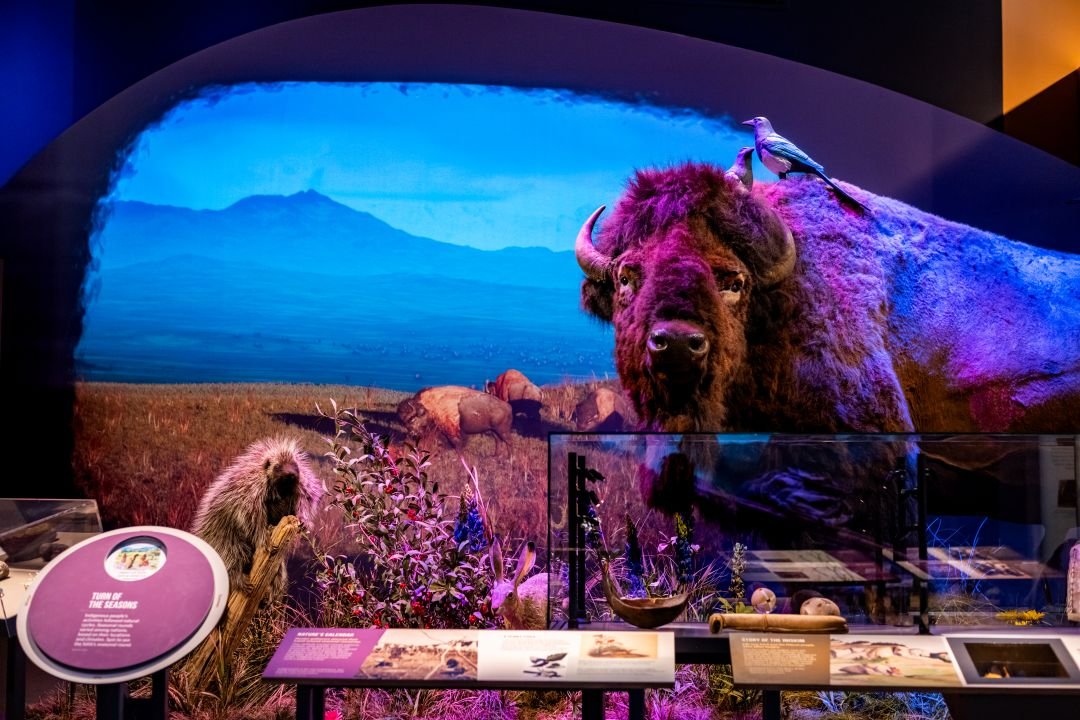 Christie projection helps bring story to life at the new Montana Heritage Center